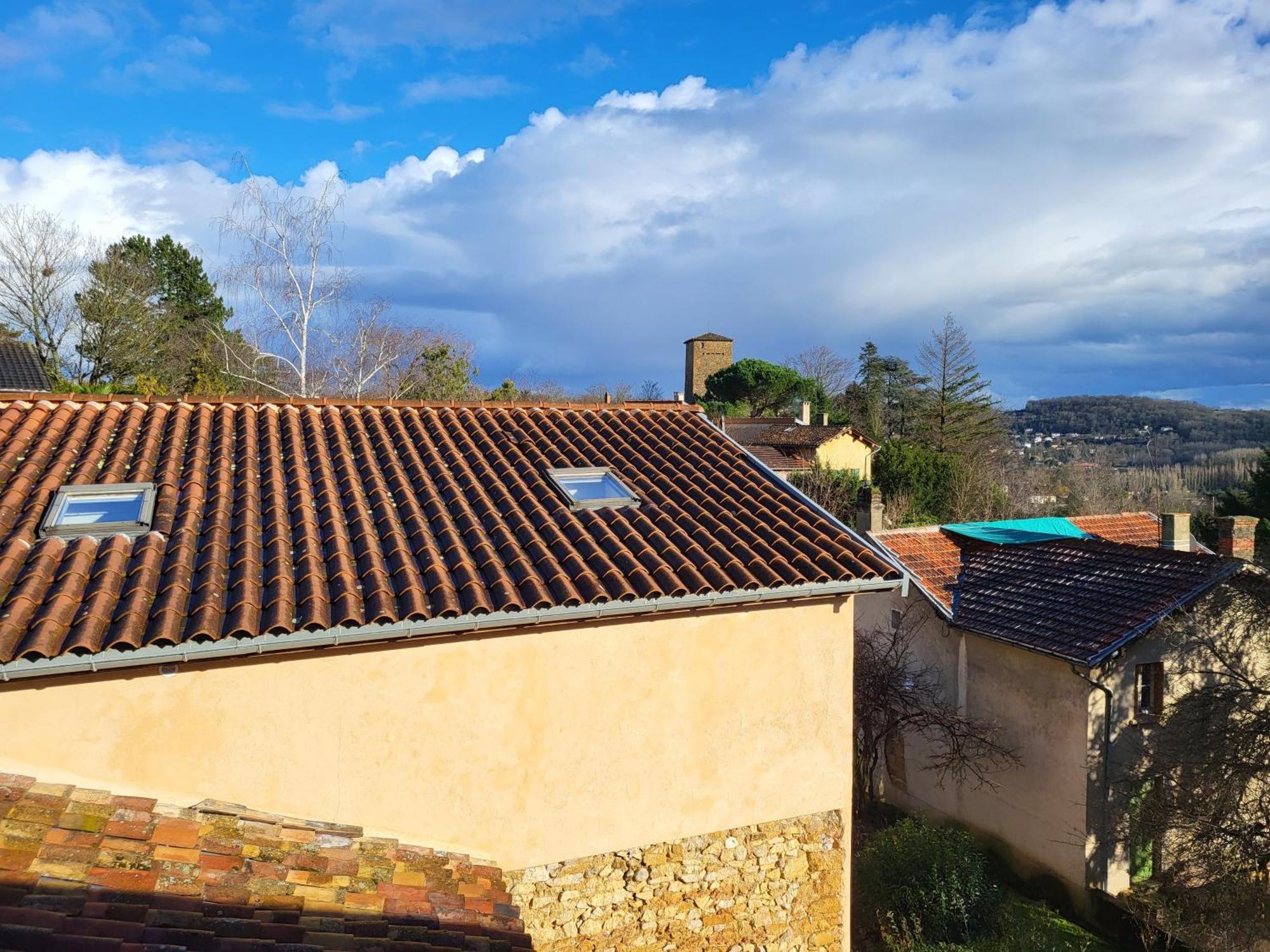 Gite Le Grenier Des Maraichers Albigny-sur-Saone Kültér fotó